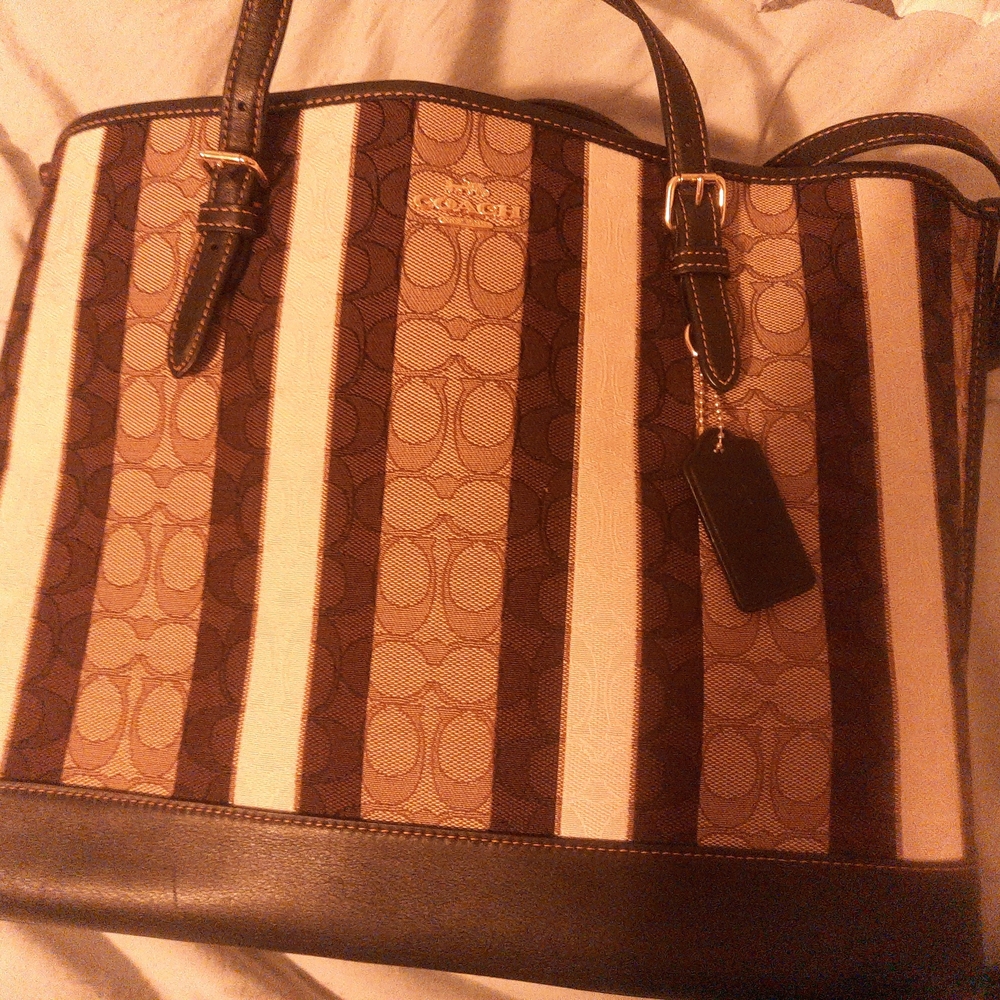 Coach Brown Striped Women's Bag